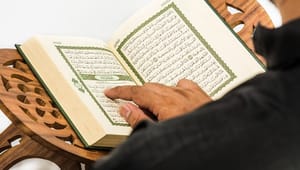 Søren Espersen: Koranen bør være forbudt for Kundby-pigen