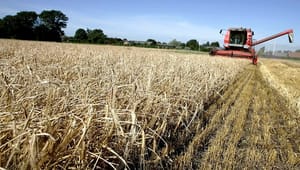 Landbrugsordførere vil registrere spekulanters jordopkøb