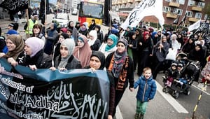 Bertel Haarder: Islamister må betale selv