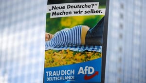 Professor: Det højredrejede AfD får betydning for ny tysk regering
