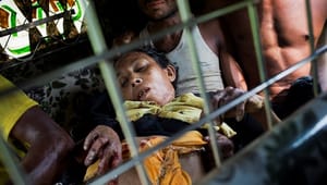 Røde Kors får adgang til Myanmar: Danmark støtter med millionbeløb