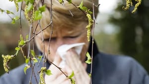 Astma-Allergi Danmark: Vi savner stadig en plan for allergien