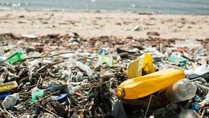 Affaldsforening: Virksomheder mangler incitamentet til at vælge genanvendt plast