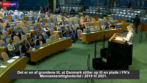 Tørnæs i FN-tale: Danmark skal have plads i Menneskerettighedsråd