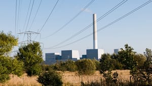Dansk Energi: Bæredygtig biomasse gør Danmark fri af kul