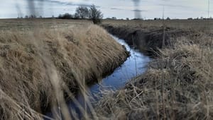 Bæredygtigt Landbrug: Danmark har brug for nye, åbne vandmiljømodeller