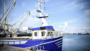 Ny analyse: Brexit kan koste danske fiskere 800 millioner