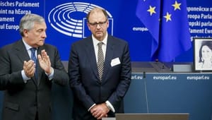 EU-parlamentarikere: Kritik af medlemslande kan give bagslag