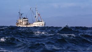 Ny fiskeriaftale skal stække kvotekonger