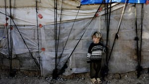 Amnesty: Uskyldige ofre fra Syrien og Irak lever stadig under kummerlige forhold 
