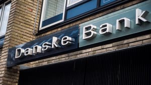 NGO om EU's bankunion: ”Vi må selv klare Danske Bank”