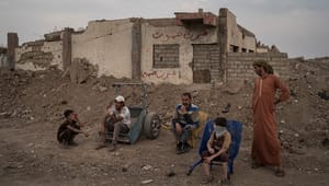 UNDP: Stabilitet skal være værn mod vold og ekstremisme i Irak