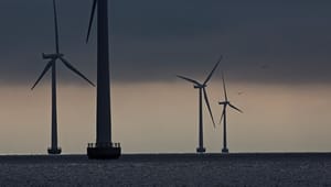 Dansk Industri: Regeringen skal kæmpe for mere grøn energi i EU