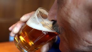 Regeringen vil halvere tilskud til alkoholuddannelse