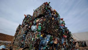 Miljøorganisation: Kynisme truer tiltag mod plastikforurening 