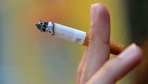 Danmark får sin første tobak-professor 