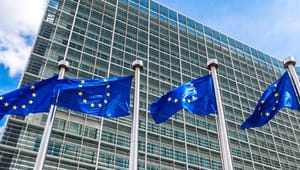  EU holder øje med landes forsøg på at stoppe udenlandske investeringsspekulanter