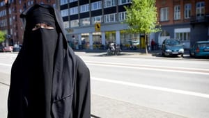Burkaforbud og ghettostraffe kan give bagslag