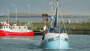 EU’s Brexitforhandler besøger fiskerne i Thyborøn