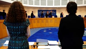 Kritik af dansk opgør med europæisk menneskeretsdomstol: "Vil underminere systemet"
