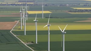 Økologisk råd: Regeringen lammer EU-forhandlinger om vedvarende energi