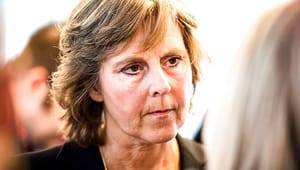 Connie Hedegaard lander medie-toppost