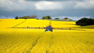 Jens Rohde: EU's landbrugsbudget trænger til radikal nytænkning