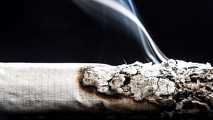 Købmænd med forslag til ny tobakslov: Kræftens Bekæmpelse jubler 