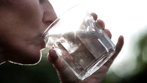 L&F: Landbruget prioriterer godt drikkevand meget højt