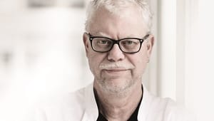 Torben Mogensen anmelder bog: Endnu en gang Djøf-bashing
