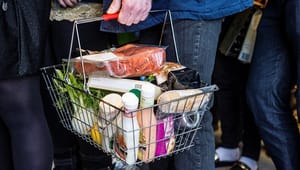 Fødevarestyrelsen: Ingen danskere skal sætte tænderne i usikre fødevarer