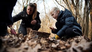 Naturvejleder til DN: I skal lære danskerne at elske naturen