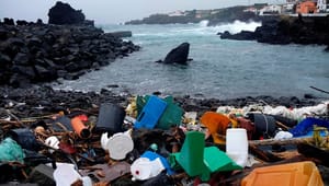 Margrete Auken: Vi må forlade os på EU, når det kommer til plastik