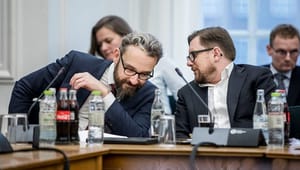 Ammitzbøll-Bille får alligevel ministervikar