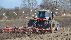 EU-udspil skærer dansk landbrugsstøtte med en kvart milliard