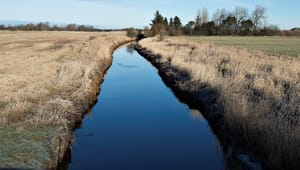 Niras: Ny vandløbslov skal rette op på 100 års fejltagelser