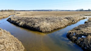 DN: Ny lov bør håndtere vandløb på tværs af kommunegrænser
