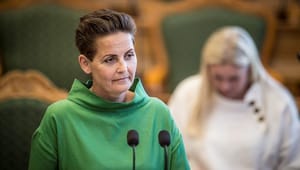 Pia Olsen Dyhr: Grønne virksomheder trives med krav, ikke skyklapper