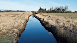 L&F: Ny vandløbslov skal skabe værdi for alle – også landmændene 