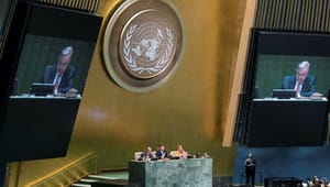 Dansk topdiplomat får nøglerolle i moderniseringen af FN: ”Vi vil møde modstand” 
