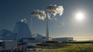 Noah om energiforlig: Klimaskadelig biomasse subsidieres frem til 2025