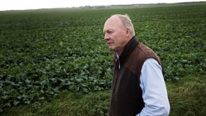 Bæredygtigt Landbrug-formand til DN: Stop krigen mod landbruget