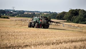 Trods modstand fra landbruget: Regeringen overvejer skærpede gyllekrav