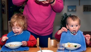 Kost & Ernæringsforbundet: Forældre bør stemme for madordninger
