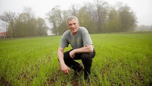 Økologisk Landsforening præsenterer klimaudspil: Landmænd kan blive Danmarks næste klimahelte