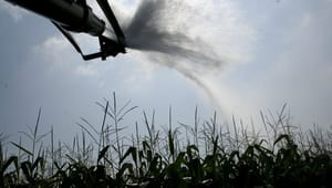 Økologisk Landsforening: Klimaplan skal binde kulstof i landbrugsjorden