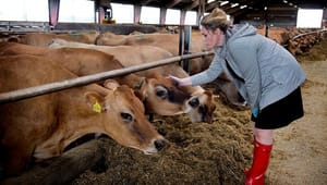 Karen Hækkerup stopper i Landbrug & Fødevarer