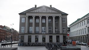 Store ngo'er kritiserer Danske Bank – men har selv penge i banken