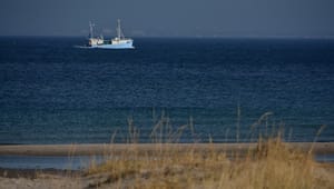 Danmarks Fiskeriforening: Til havs er Danmark europamestre i Natura 2000