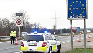 EU-parlamentariker langer ud efter dansk grænsekontrol